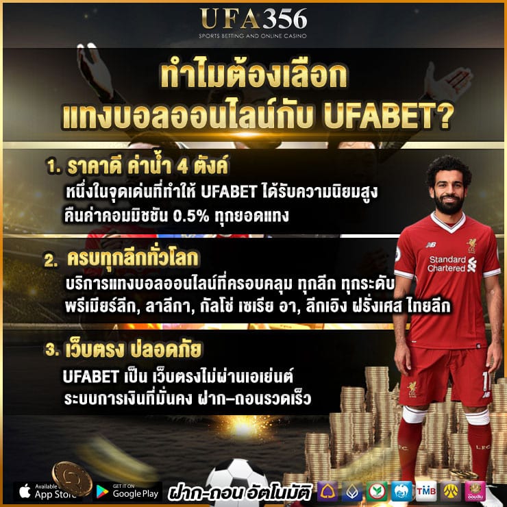 แทงบอล 356